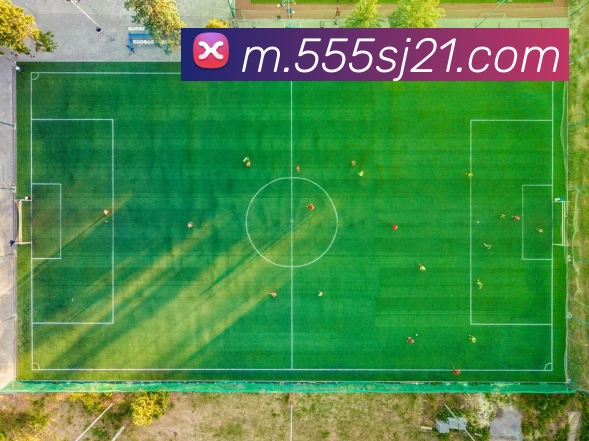 55世纪全站App